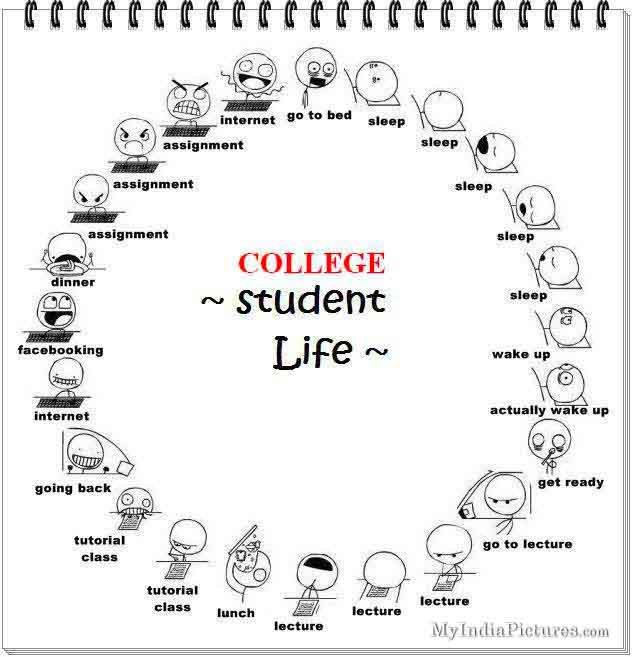 Funny College Quotes About Friends College-student-life-cycle-